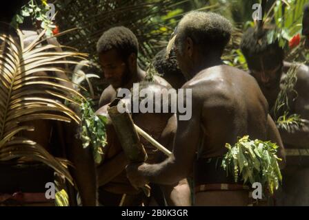 VANUATU, (NEUE HEBRIDEN), AMBRYM-INSEL, EINHEIMISCHE TÄNZERINNEN IN TRADITIONELLEN KOSTÜMEN Stockfoto