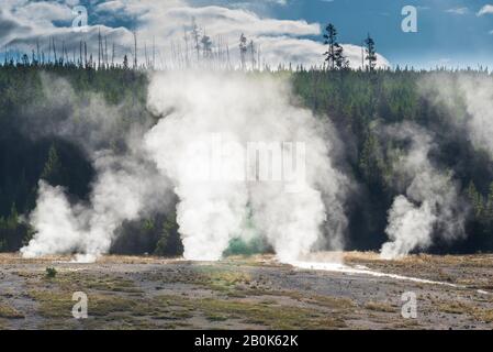 Heiße Gase und Dampfentlüftung von Geysiren mit grünem Wald jenseits unter blauem Himmel mit weißen flauschigen Wolken. Stockfoto