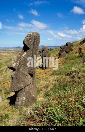 OSTERINSEL, RARAKU MOAIS AM HANG Stockfoto