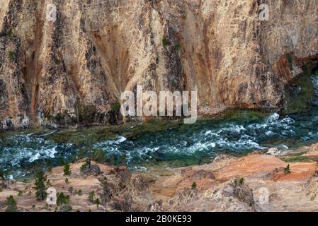 Schnell bewegende Fluss mit Stromschnellen schneidet in Rock Canyon. Stockfoto