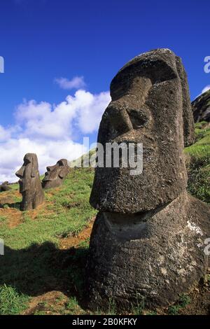 OSTERINSEL, RARAKU, STEINBRUCH, MOAI-STATUEN Stockfoto