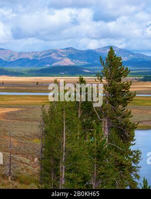 Blick auf einen kleinen See, mit hohen grünen Pinien und goldenem Tal unten und Bergen dahinter unter einem Himmel von weißen, flauschigen Wolken. Stockfoto