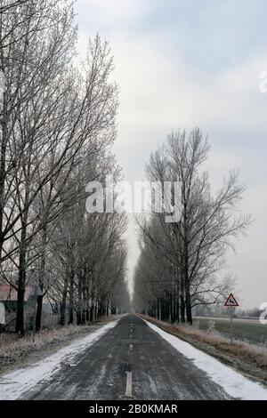 Winterstraße in der ungarischen Landschaft. Stockfoto