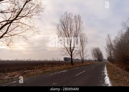 Winterstraße in der ungarischen Landschaft. Stockfoto