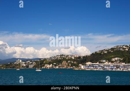 NEUSEELAND, NORDINSEL, WELLINGTON, HAFENGEBIET, LAMBTON HARBOUR Stockfoto
