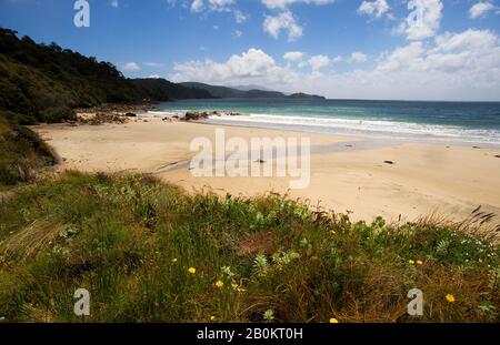 NEUSEELAND, SÜDINSEL, STEWART ISLAND, IN DER NÄHE VON OBAN VILLAGE, STRAND Stockfoto