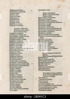 Anonym, Italienisch, 15. Jahrhundert, EIN Bauer, der auf den Markt geht, anonym, Italienisch, 15. Jahrhundert, 1470-1480, Gravur mit Handfärbung und Manuskriptzusätzen durchgehend, eingeklebt auf dem Inneneinband eines medizinischen Buches, Blatt: 10 3/4 × 6 1/2 Zoll. (27,3 × 16,5 cm), Gesamt: 12 3/16 × 8 1/4 Zoll (31 × 21 cm), Ausdrucke Stockfoto