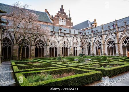 Niederlande - 6. Januar 2020. Der Pandhofgarten der Domkirche ist einer der schönsten Innenhöfe Hollands Stockfoto