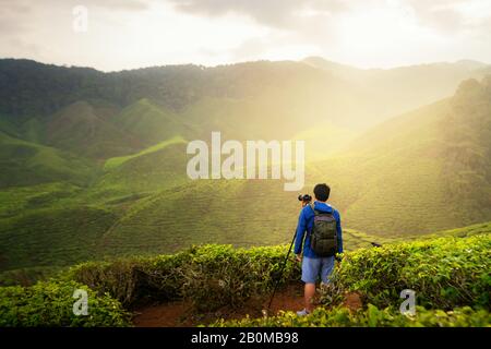 Jungen asiatischen Fotograf in Kaffee Felder mit Nebel zu reisen. Junger Mann Reisender ein Foto von bergtee Feld nehmen, genießen Sie Tee Plantagen in Kameras Stockfoto