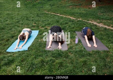 Die entspannten Mädchen machen Yoga im Park auf Teppich Stockfoto