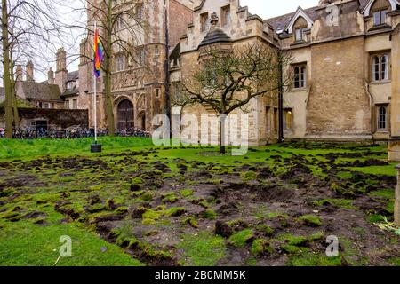 19/02/2020, Cambridge, England. Am Montag, den 17. Februar, zerrissen die Demonstranten Des Extinction Rebellion den Rasen vor dem Trinity College in Cambridge. Foto von Mark Bullimore Stockfoto