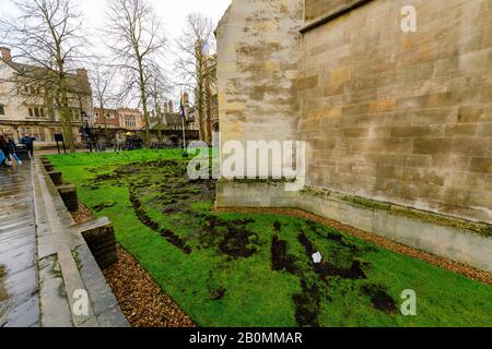 19/02/2020, Cambridge, England. Am Montag, den 17. Februar, zerrissen die Demonstranten Des Extinction Rebellion den Rasen vor dem Trinity College in Cambridge. Foto von Mark Bullimore Stockfoto