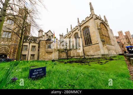 19/02/2020, Cambridge, England. Am Montag, den 17. Februar, zerrissen die Demonstranten Des Extinction Rebellion den Rasen vor dem Trinity College in Cambridge. Foto von Mark Bullimore Stockfoto