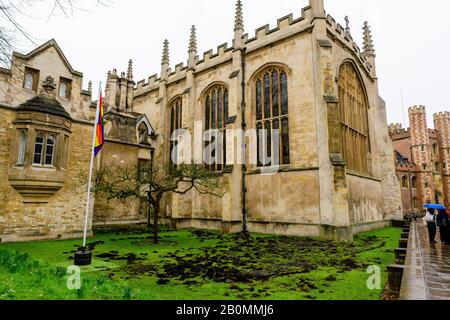 19/02/2020, Cambridge, England. Am Montag, den 17. Februar, zerrissen die Demonstranten Des Extinction Rebellion den Rasen vor dem Trinity College in Cambridge. Foto von Mark Bullimore Stockfoto