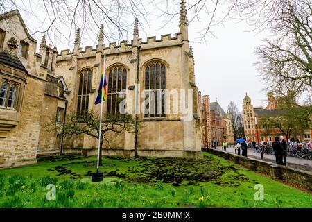 19/02/2020, Cambridge, England. Am Montag, den 17. Februar, zerrissen die Demonstranten Des Extinction Rebellion den Rasen vor dem Trinity College in Cambridge. Foto von Mark Bullimore Stockfoto