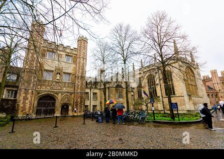 19/02/2020, Cambridge, England. Am Montag, den 17. Februar, zerrissen die Demonstranten Des Extinction Rebellion den Rasen vor dem Trinity College in Cambridge. Foto von Mark Bullimore Stockfoto