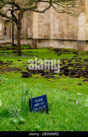 19/02/2020, Cambridge, England. Am Montag, den 17. Februar, zerrissen die Demonstranten Des Extinction Rebellion den Rasen vor dem Trinity College in Cambridge. Foto von Mark Bullimore Stockfoto