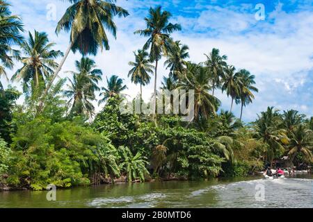 Madu River Safari, wunderschönes tropisches Flussufer. Schöne Palmen am Himmel mit bunten Wolken, Boote mit Touristen auf Safari Stockfoto