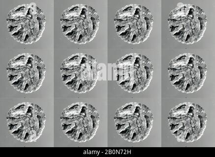Stempelsiegel, Archäologischer Komplex Baktria-Margiana, Bronze, Datum ca. Ende 3./Anfang 2. Jahrtausend v. Chr., Baktria-Margiana, Archäologischer Komplex Baktria-Margiana, Kupferlegierung, 0,39 Zoll (0,99 cm), Metallwork-Stamp-Dichtungen Stockfoto