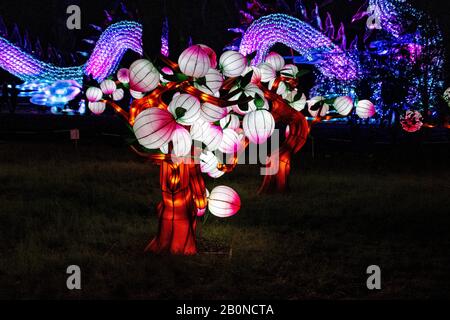 Charleston, SC - 2. Februar 2020: Ein großer chinesischer Drache aus Tausenden von chinesischen Platten in der Magnolia Plantation and Gardens Stockfoto