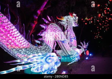 Charleston, SC - 2. Februar 2020: Ein großer chinesischer Drache aus Tausenden von chinesischen Platten in der Magnolia Plantation and Gardens Stockfoto