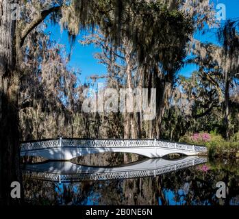 Eine weiße Holzbrücke, die einen Spiegel noch mit einer Spiegelung in Charleston, South Carolina in Magnolia Plantation überquert Stockfoto