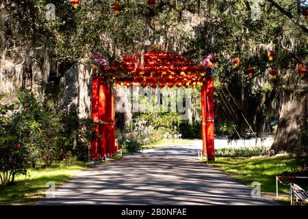 Charleston, SC - 2. Februar 2020: Eine chinesische Pagode vom Magnolia Plantation Festival of Lights Stockfoto