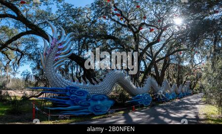 Charleston, SC - 2. Februar 2020: Ein großer chinesischer Drache aus Tausenden von chinesischen Platten in der Magnolia Plantation and Gardens Stockfoto