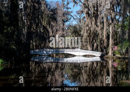 Eine weiße Holzbrücke, die einen Spiegel noch mit einer Spiegelung in Charleston, South Carolina in Magnolia Plantation überquert Stockfoto