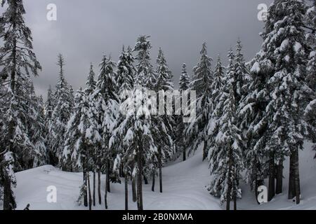 Skigebiet Grouse Mountain Stockfoto