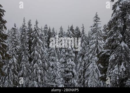 Skigebiet Grouse Mountain Stockfoto