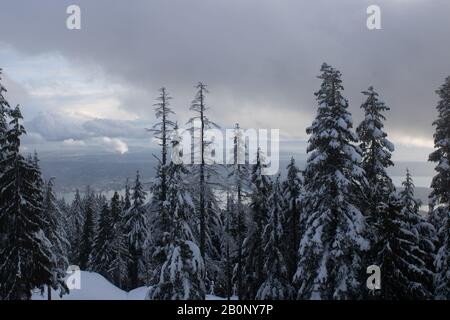 Skigebiet Grouse Mountain Stockfoto