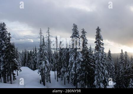 Skigebiet Grouse Mountain Stockfoto