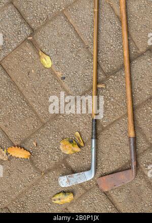 Zwei Vintage-Golfclubs mit Hickory-Schächten isoliert im Freien Stockfoto