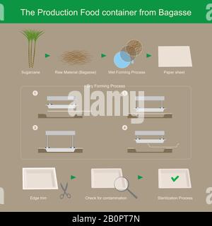 Der Produktionsbehälter für Lebensmittel aus Bagassepapier ist leicht zersetzbar und reduziert das Abfallproblem. Stock Vektor