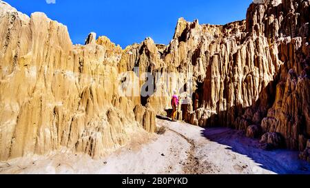 Frau in den dramatischen und einzigartigen Mustern von Slot Canyons und Hoodoos im Cathedral Gorge State Park in der Wüste von Nevada, Vereinigte Staaten Stockfoto