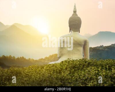 Große große, kräftige Buddhastatue in Goldfarbe inmitten des grünen Parks auf dem Berg mit wunderschönem Sonnenuntergang oder Sonnenaufgang und wunderbarer Naturszene Stockfoto