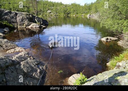 Norwegen-Landschaft in der Nähe von Preikestolen (Preikestolen) Stockfoto