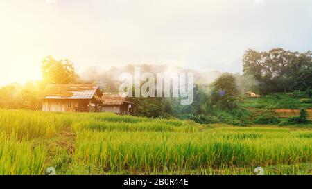 Landschaft aus grünem Reiserufeld und kleiner Hütte auf dem Land mit schönem Nebel rund um die Natur der Berge am Morgen mit wundervollem Blick Stockfoto