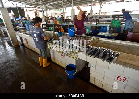 Kota Kinabalu Fischmarktstände, Kota Kinabalu, Sabah, Borneo, Malaysia Stockfoto