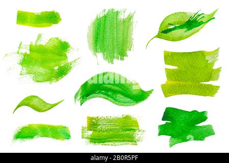 Satz grüner Wasserfarben-Designelemente Stockfoto