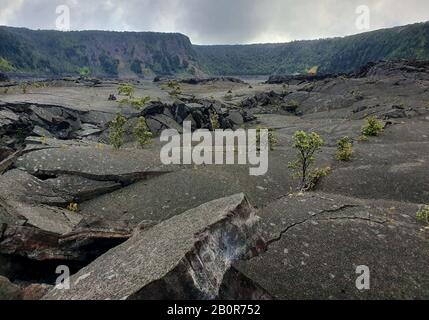 Kilauea Iki Trail im Hawaii Volcanoes National Park Stockfoto