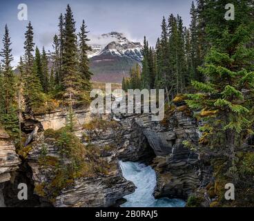 Die Athabasca Falls, die in Canyon mit felsigen Bergen im Herbstwald im Nationalpark Jasper, Kanada, fließen Stockfoto