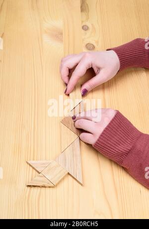 Mädchen sammelt auf einem Holztisch ein Holz-Tangram-Puzzle. Chinesisches Tangram-Puzzle. Puzzle-Konzept. Stockfoto