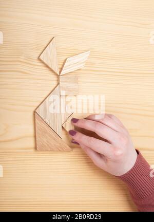 Mädchen sammelt auf einem Holztisch ein Holz-Tangram-Puzzle. Chinesisches Tangram-Puzzle. Puzzle-Konzept. Stockfoto