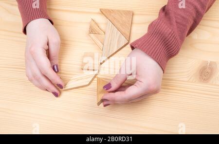 Mädchen sammelt auf einem Holztisch ein Holz-Tangram-Puzzle. Chinesisches Tangram-Puzzle. Puzzle-Konzept. Stockfoto