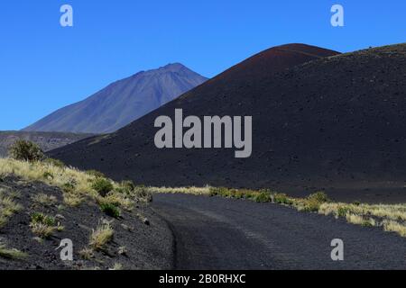 Durchqueren Sie die vulkanische Mondlandschaft, den Vulkan Payun im Hintergrund, Reserva La Payunia, Provinz Mendoza, Argentinien Stockfoto