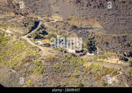 Kleiner Bauernhof in einem Tal von Gran Canaria Stockfoto