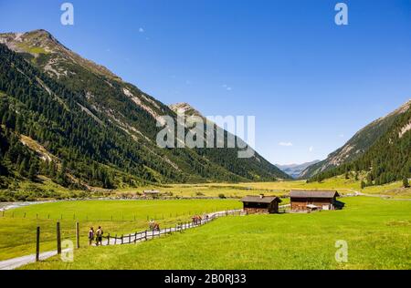 Wanderer im Krimmler Ache Valley, Krimmler Tauern Lodge, Krimmler Ache, Krimml, Pinzgau, Land Salzburg, Österreich Stockfoto