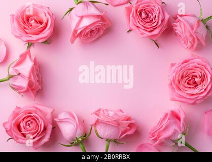 Rosa Blüten Rahmen auf rosa Hintergrund. Ansicht von oben. Kopieren Sie Platz. Stockfoto